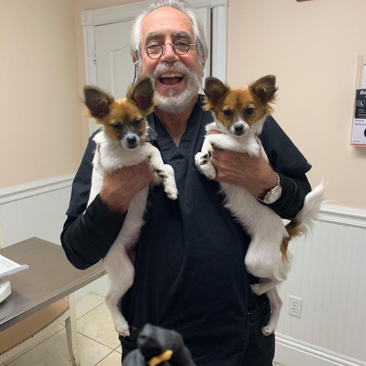 Calusa Veterinary Center Boca Raton, FL